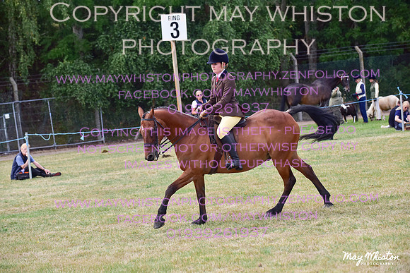 MAY_3976