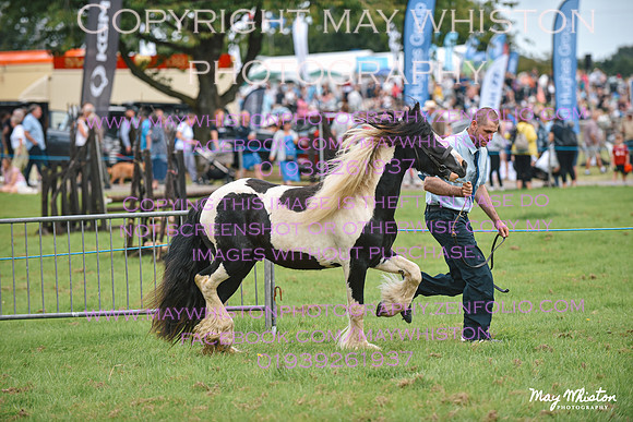MAY_3493