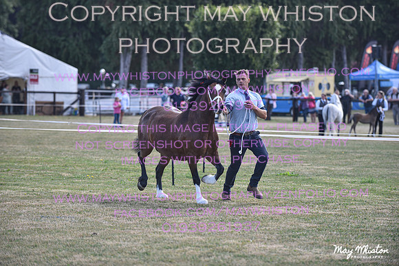 MAY_6530
