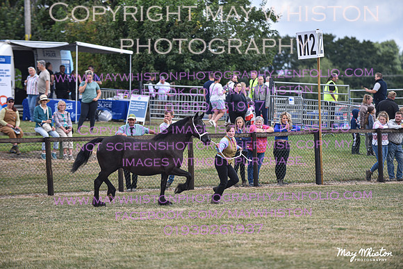 MAY_6773