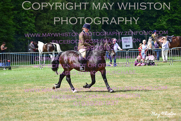 MAY_4063