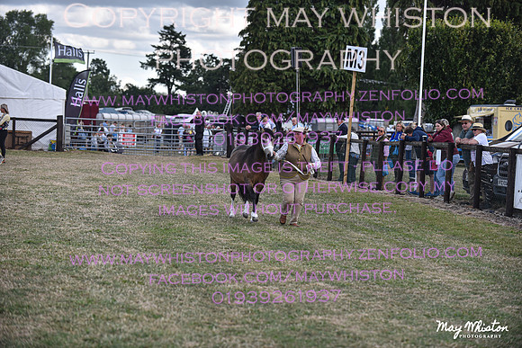MAY_6647