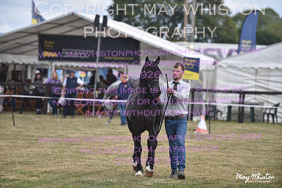 MAY_6927