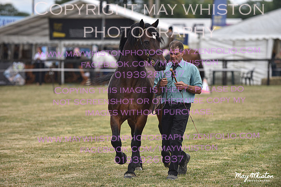 MAY_6917