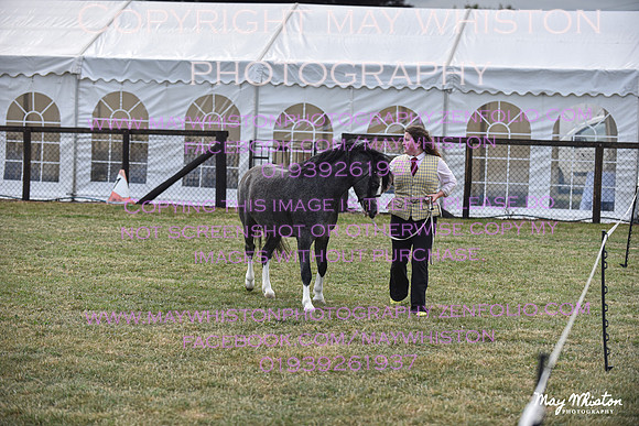 MAY_6738