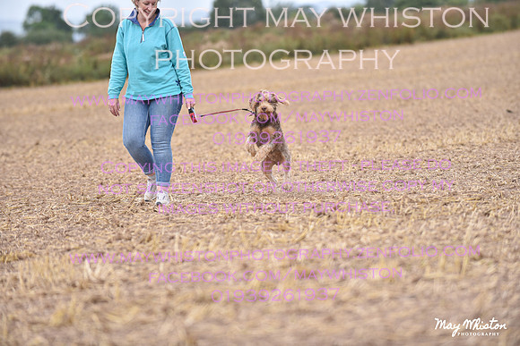 MAY_4454