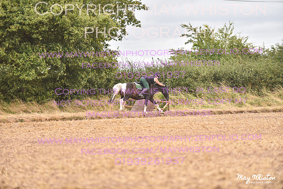 MAY_4645