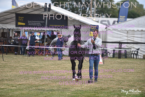 MAY_6925