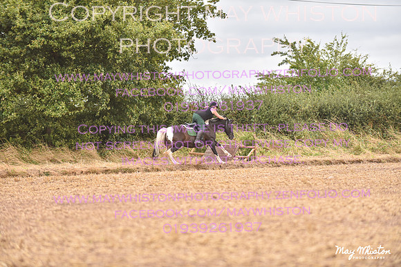 MAY_4644