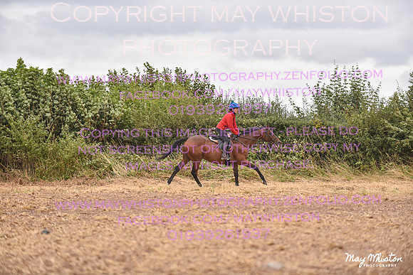 MAY_4627