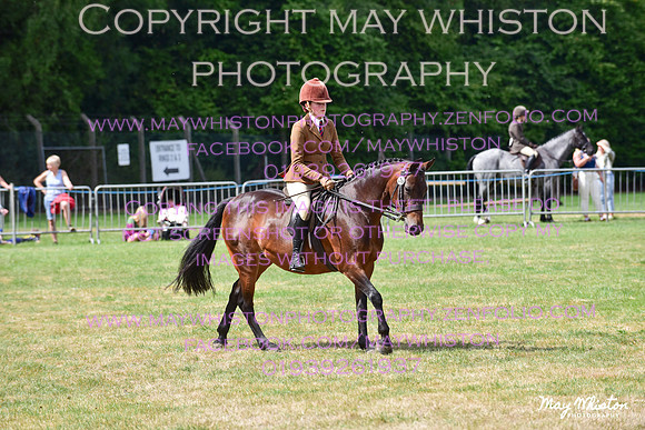 MAY_4017