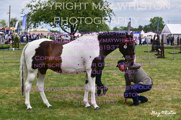 MAY_3717