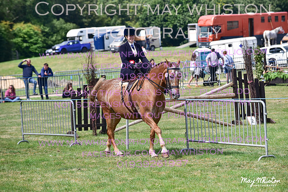 MAY_4118