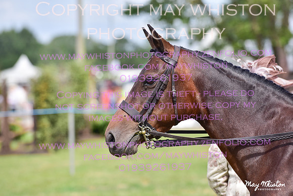 MAY_4010