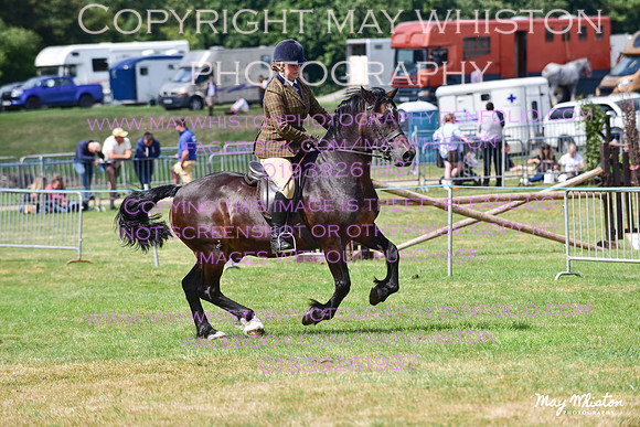 MAY_4073