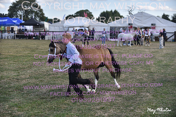 MAY_6516