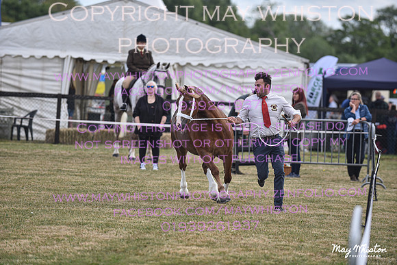 MAY_6769