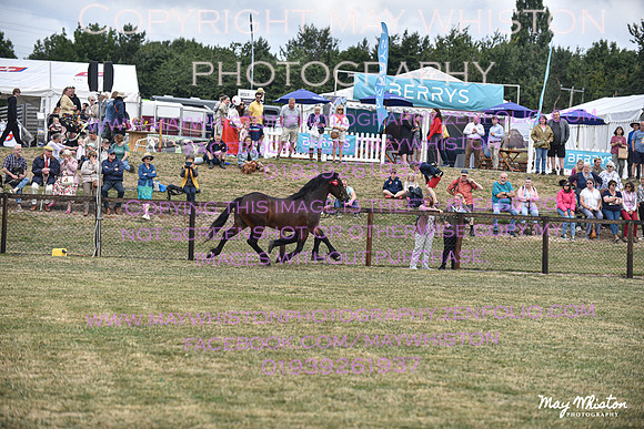 MAY_6940