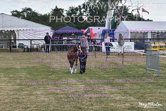MAY_6633