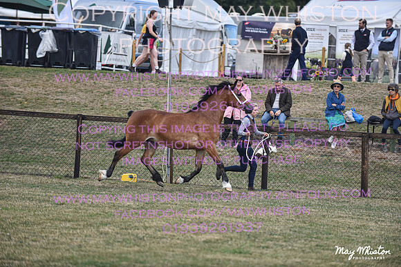 MAY_6721