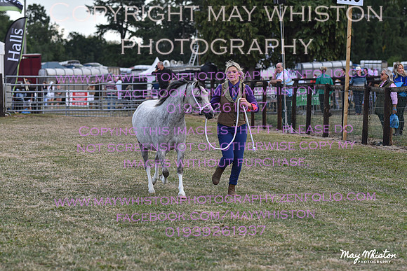 MAY_6638