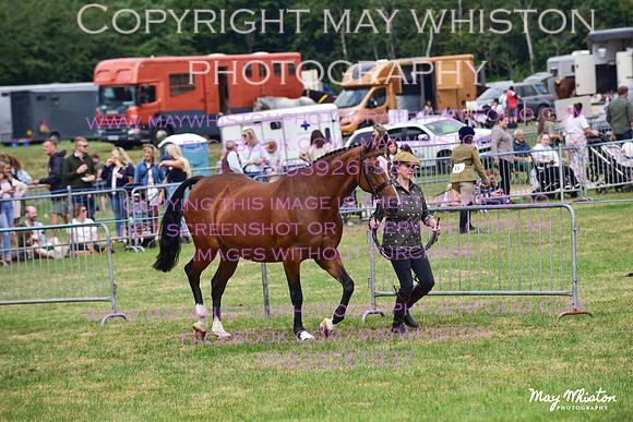 MAY_3674