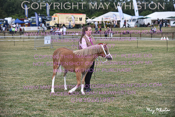 MAY_6704