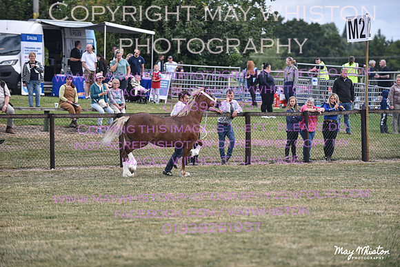 MAY_6766