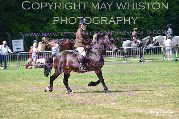 MAY_4066