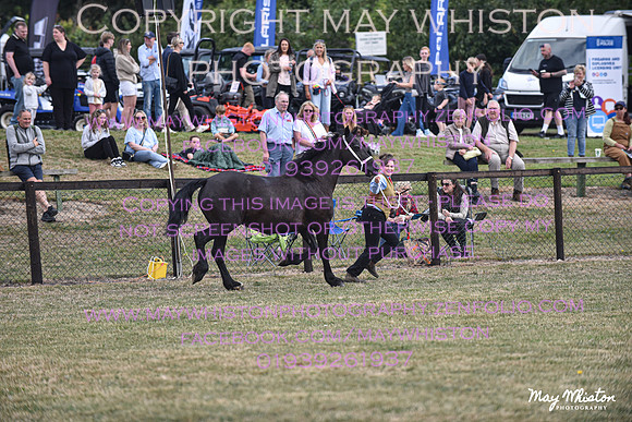MAY_6771