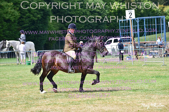 MAY_4069