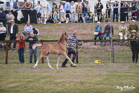 MAY_6898