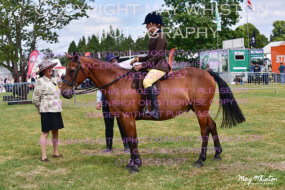 MAY_3968