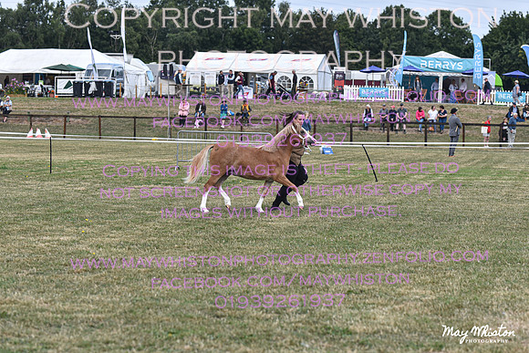 MAY_6711