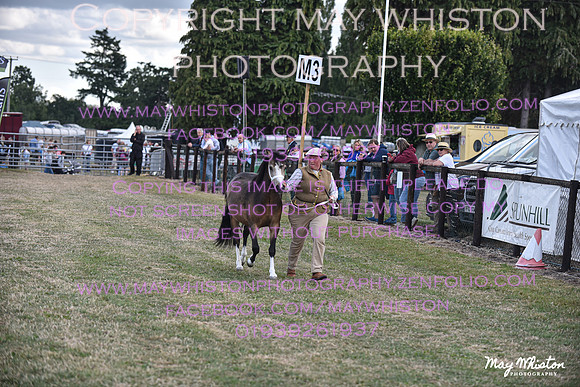 MAY_6648