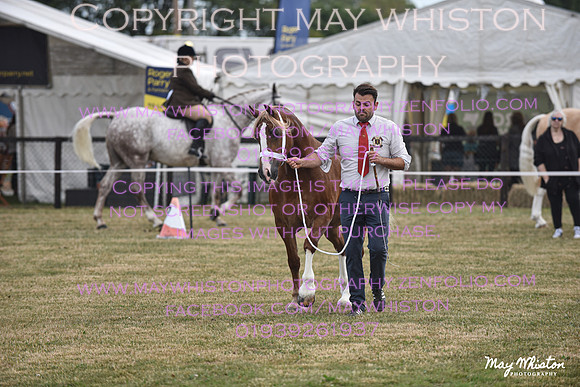 MAY_6761