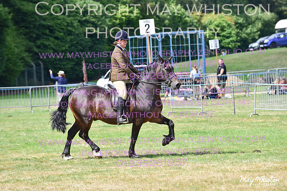 MAY_4071