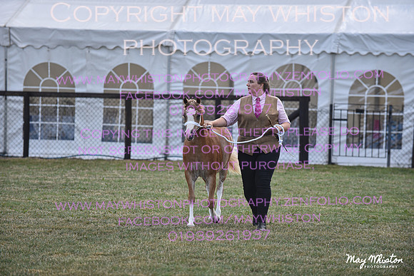 MAY_6673