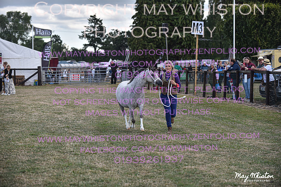 MAY_6639