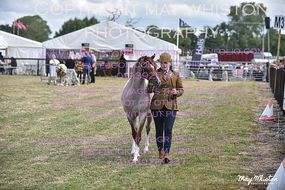 MAY_6961