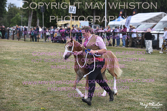 MAY_6922