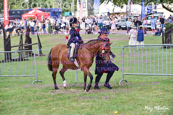 MAY_4146