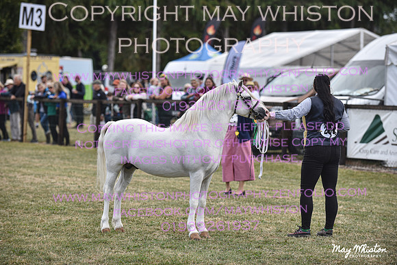 MAY_6918