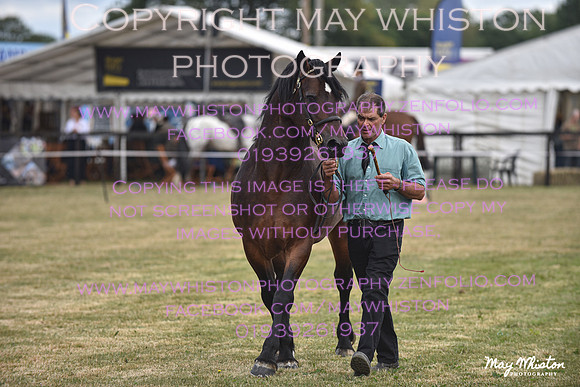 MAY_6916