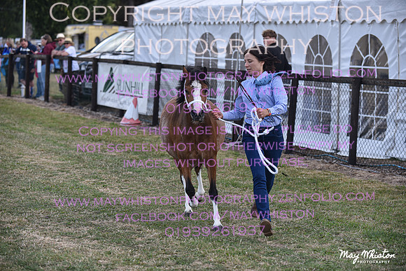 MAY_6646