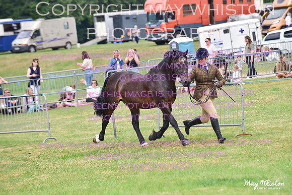 MAY_3570