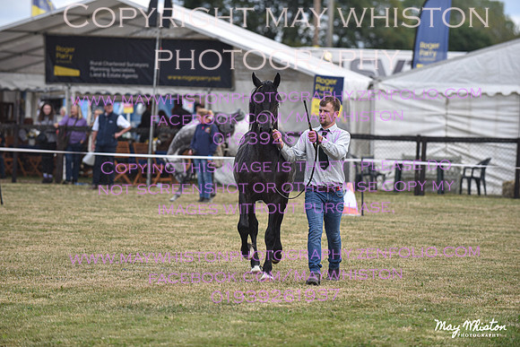 MAY_6926