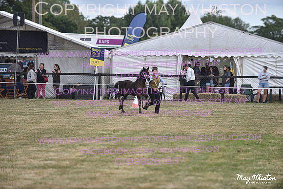 MAY_6886