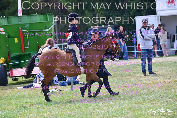 MAY_4048