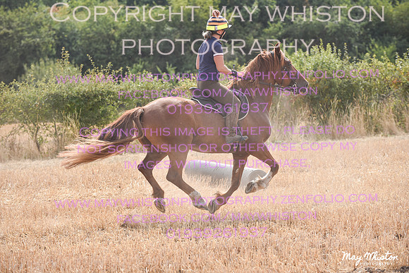 MAY_8027